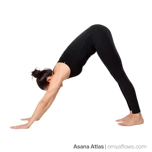 Downward-Facing Dog