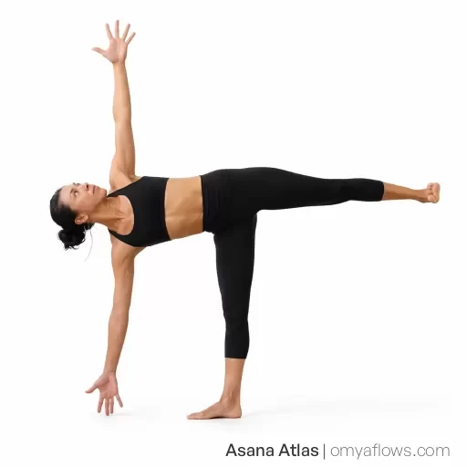 Ardha Chandrasana – Half Moon Pose