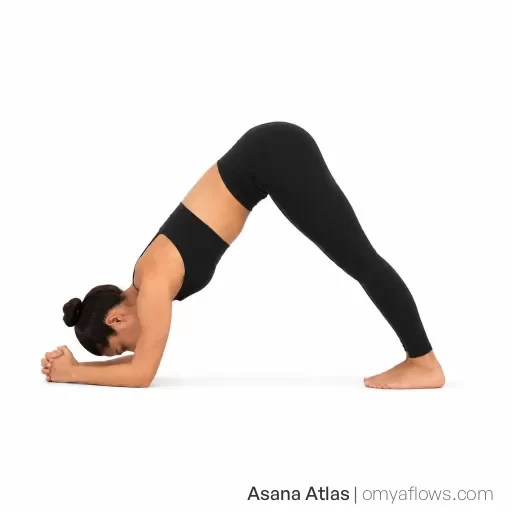 Ardha Pincha Mayurasana – Half Forearm Stand