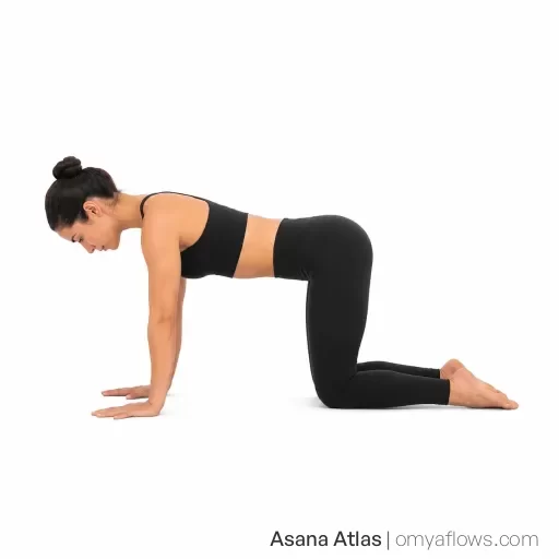 Bharmanasana – Tischstellung