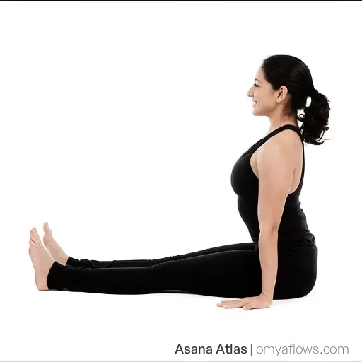 Dandasana – Stabstellung