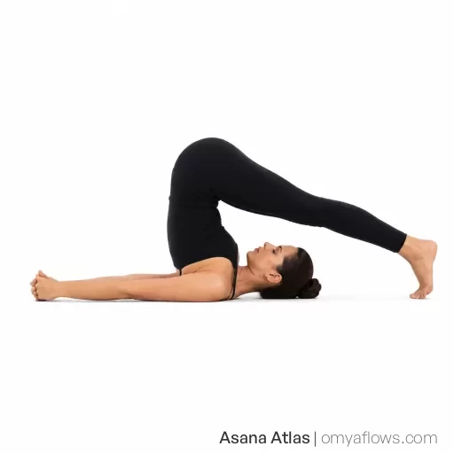 Halasana – Plow Pose