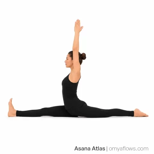 Hanumanasana – Affenstellung