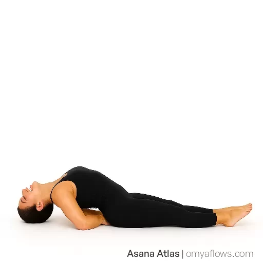 Matsyasana – Fish Pose