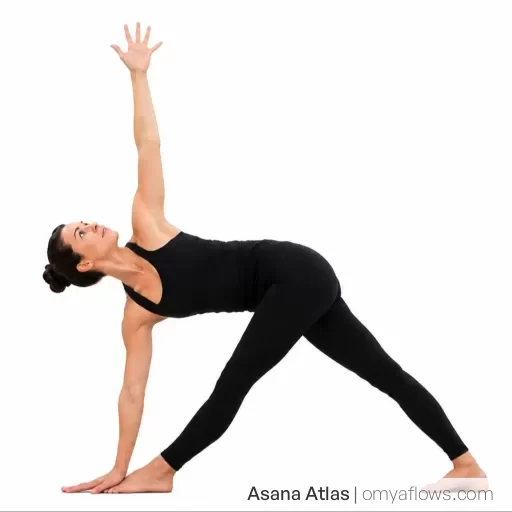 Revolved Triangle Pose