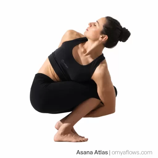 Pasasana – Noose Pose
