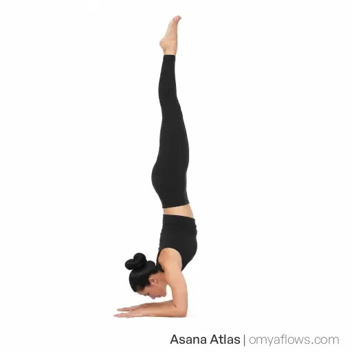 Pincha Mayurasana – Gefiederter Pfau