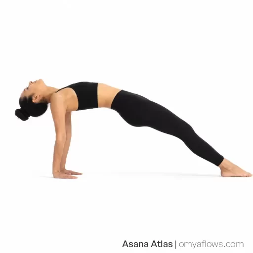 Purvottanasana – Upward Plank Pose