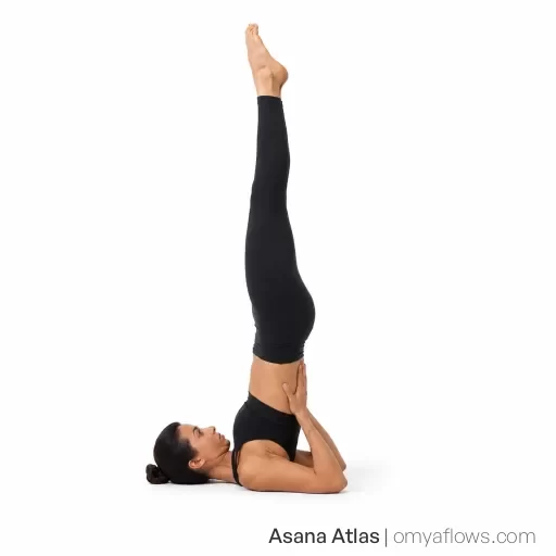 Shoulderstand