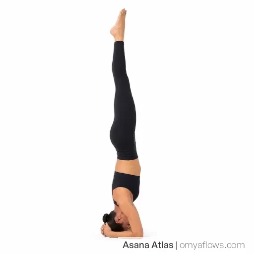 Sirsasana – Headstand