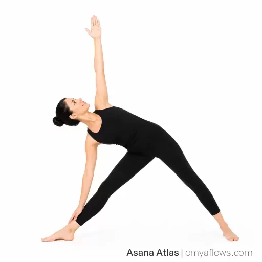 Trikonasana – Dreieckstellung