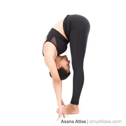 Standing Forward Bend