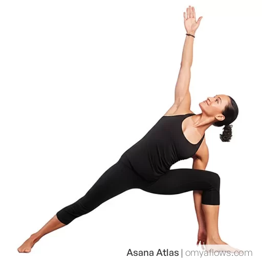 Utthita Parsvakonasana – Erweiterte Seitenwinkelstellung