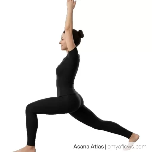 Virabhadrasana I – Krieger I